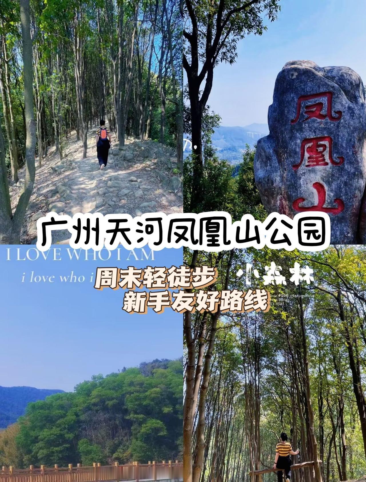 广州天河凤凰山｜新手友好爬山攻略✨📍广州谁懂啊😭！广州天河藏着这条免费
