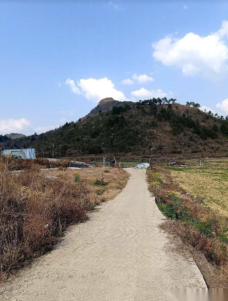 亲弟弟在上海猝然离世，当姐姐的还没定好车票，00后的侄子就打来电话，语气没起没伏