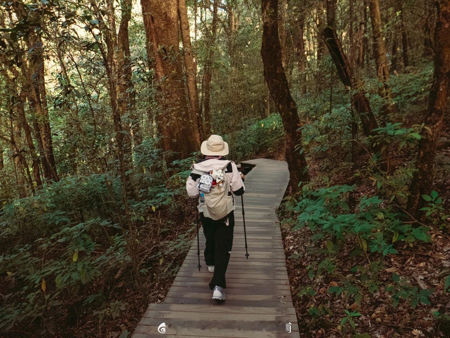 王室王室泰国王室镇宅镇宅在清迈。