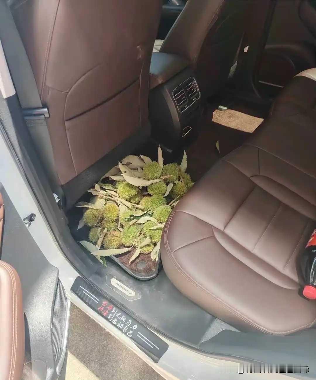 这几天都愁死了，上下班总是有同事打搭我的车，我实在是没办法，昨天晚上还失眠了