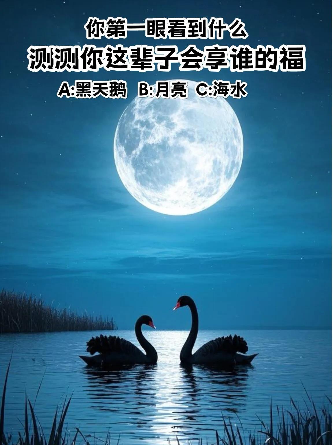 心理测试测你这辈子会享谁的福？？？你第一眼看到什么？？A.黑天鹅B.月亮