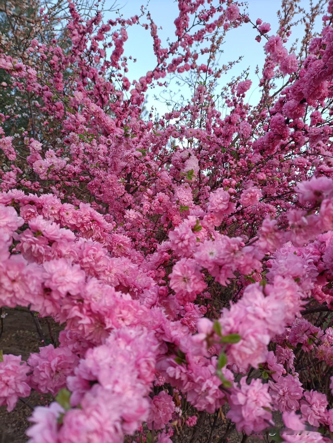 世间万般美好，皆藏寻常烟火；人生至珍所求，不过平安健康。周六清晨，愿你卸下一周的