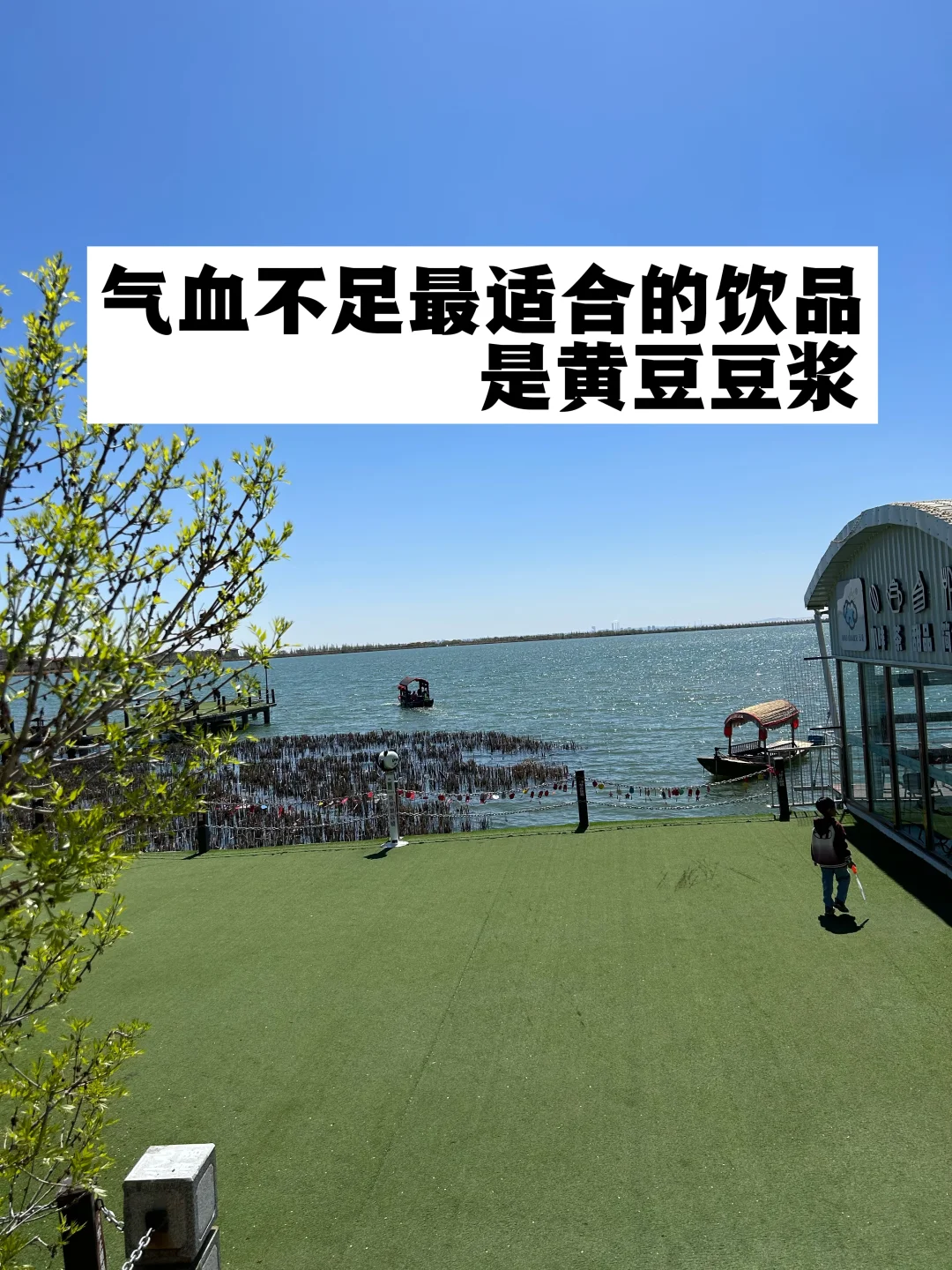 气血不足最适合的饮品是黄豆豆浆