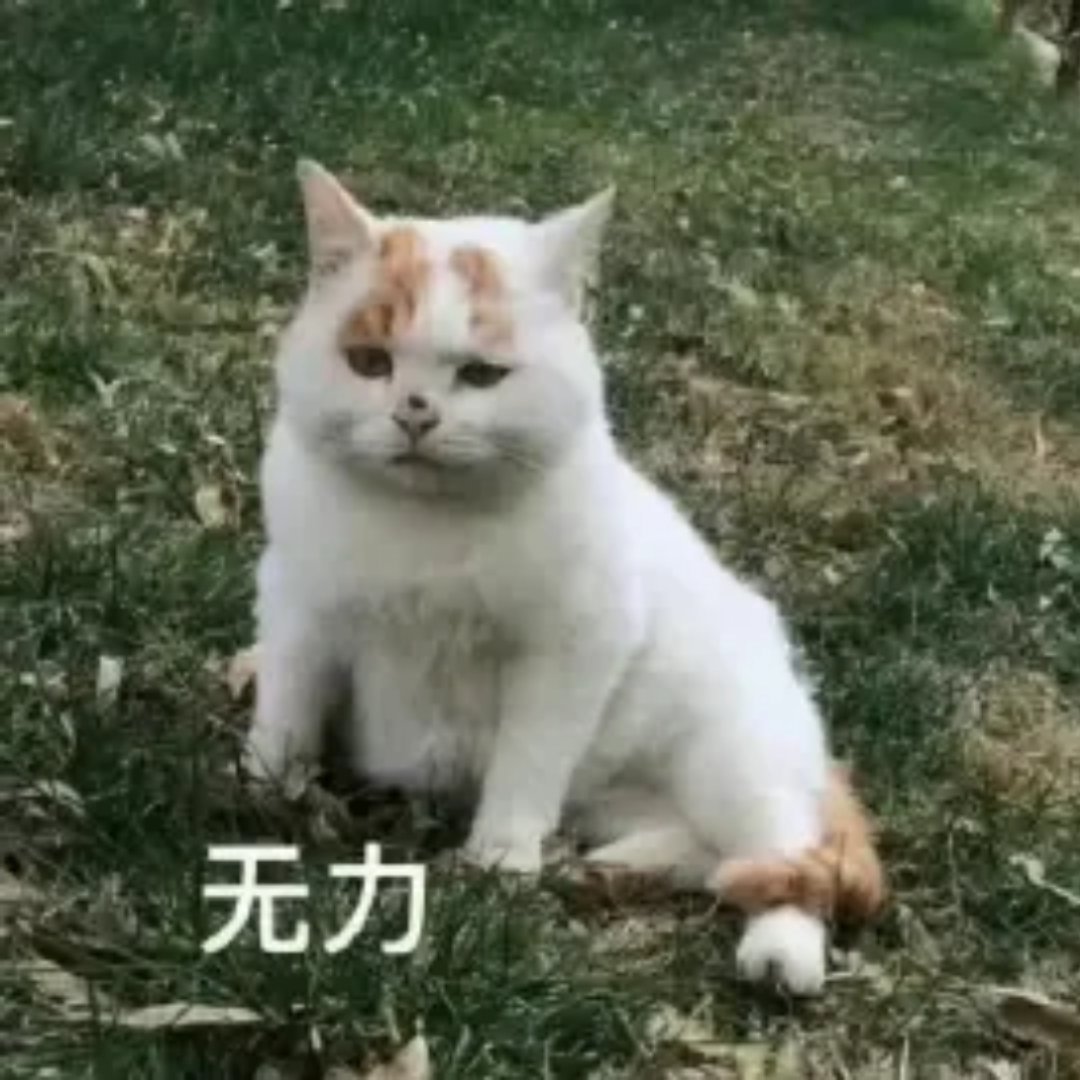 昨天去按摩听技师阿姨们闲聊：技师1：女儿要富养，儿子就随便养养。技师2：儿子以后