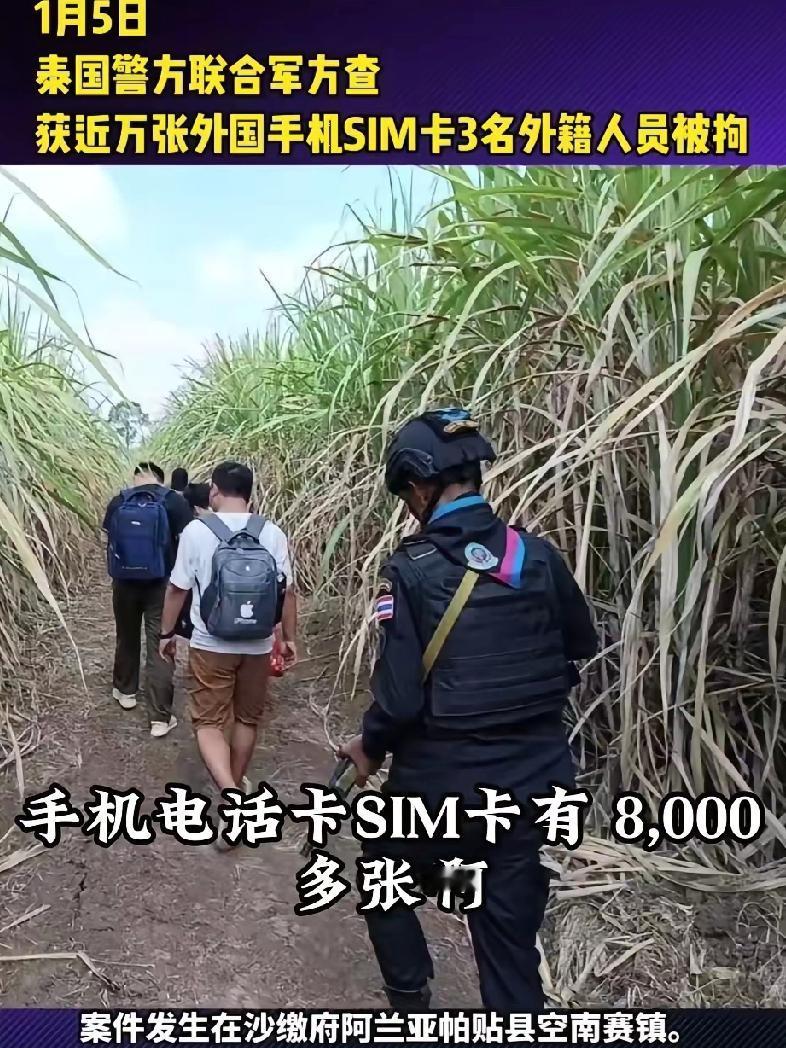 1月5日，泰方在泰柬边境巡逻，抓获了三名非法入境的中国籍男子。本来以为这只是
