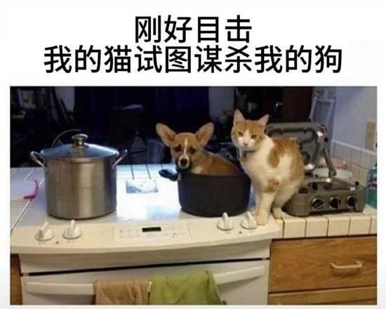 搞笑图片：​​​