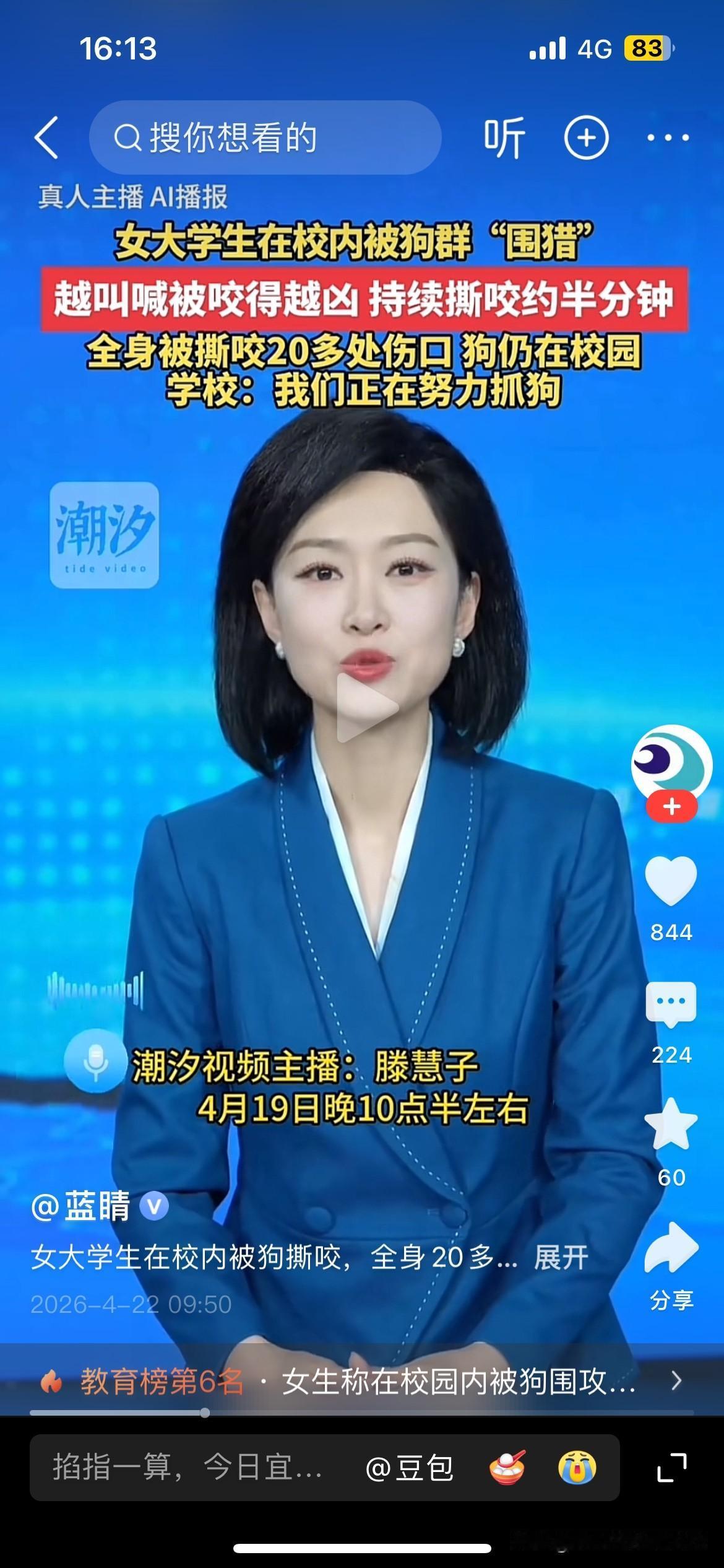 校园里的这些狗是什么人养的？为什么校园里会有这么多的狗？如果老师或保安，打死了这