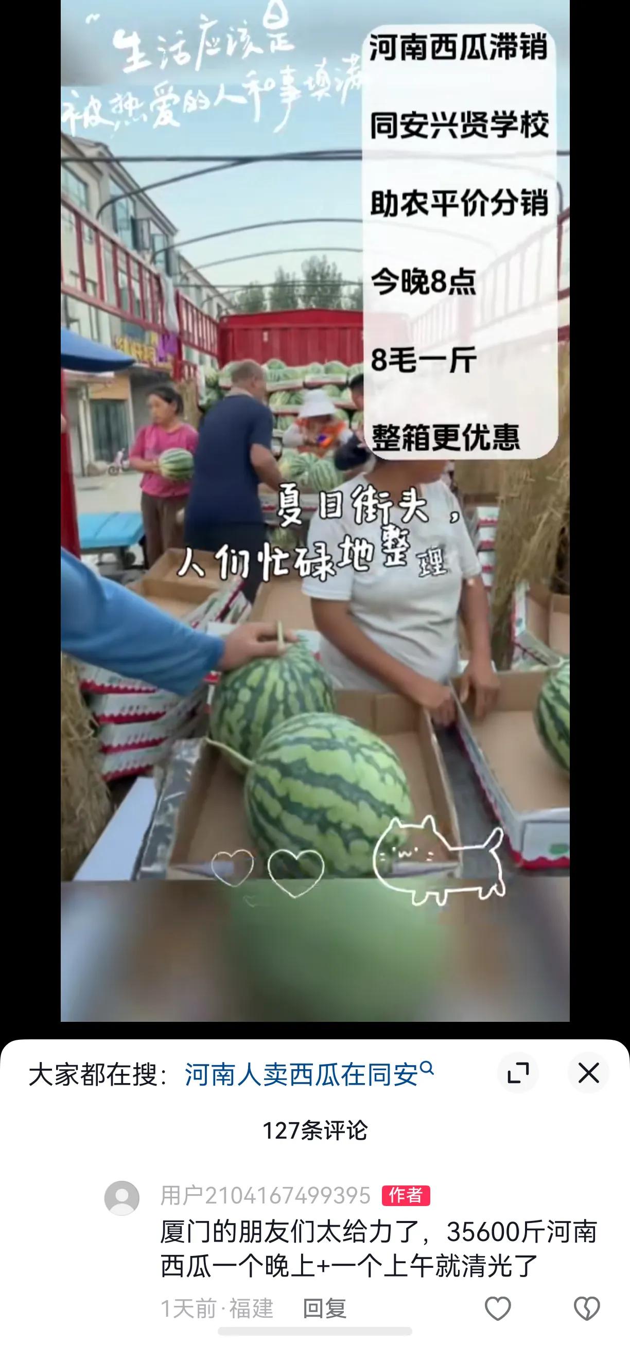 西瓜南下，河南西瓜滞销在福州和厦门火爆销售，公益价格在福州和厦门皆为0.8元/斤