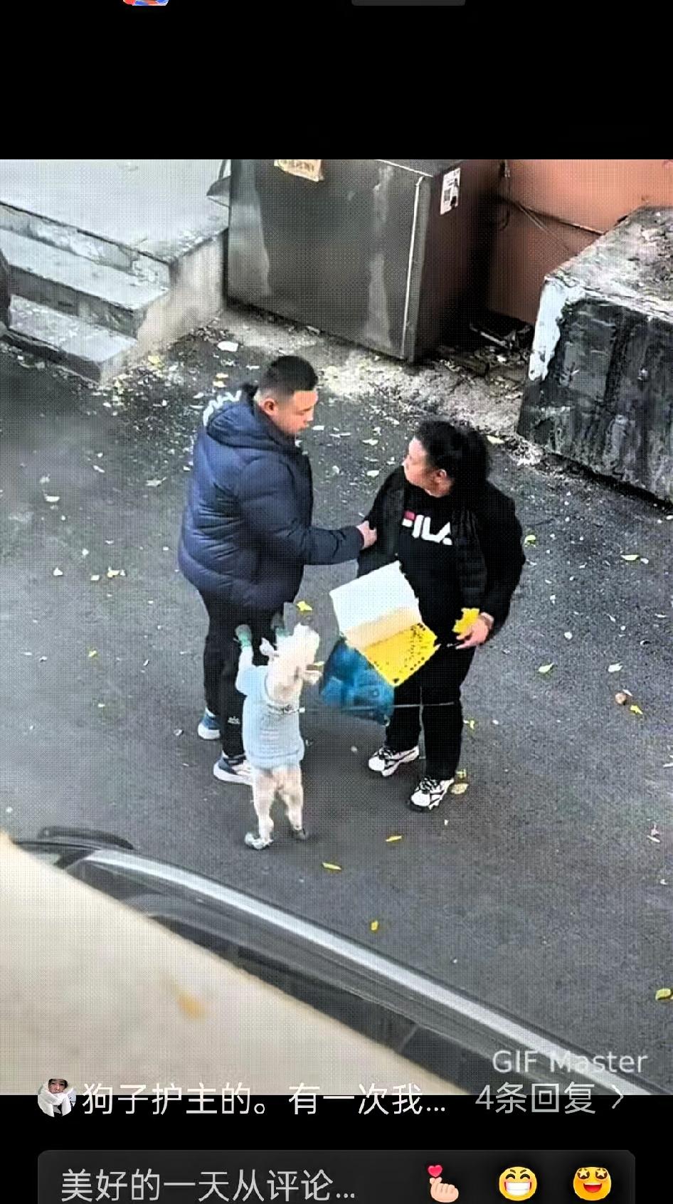 女主人竟遭人殴打,这还得了一旁的狗子瞬间急了,猛地扑上去,对着男子的羽绒服咬出