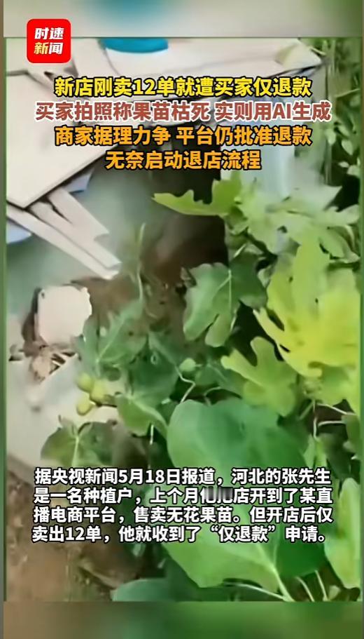 “AI不是用来作恶的！”5月18日报道，河北，一位种植户刚开了家网店，售卖果苗，