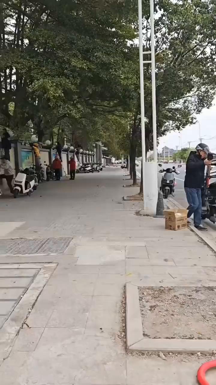 这波操作都看傻了。