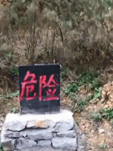 这地方到底有什么？竟然是一个危险的地方！