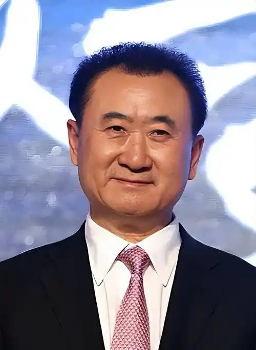 有网友说，王健林是真狠！身价仅剩290亿的他，居然靠卖万达广场，在6年内基本还清