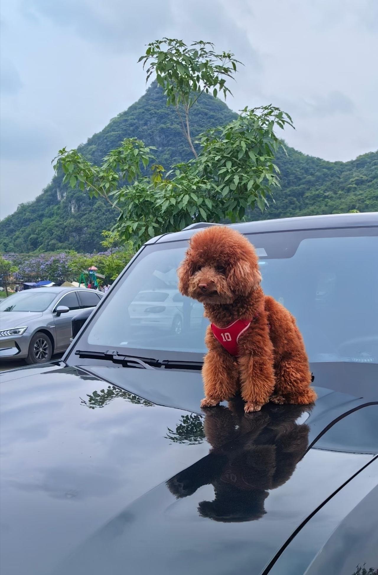 你知道吗​现在出发走高速傍晚到合肥时​我就将将赶上饭点​小红书上说迎仙