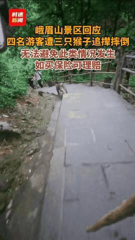 太悲催了！四川峨眉山，四个结伴而行的男游客正走着，突然三只野猴从树丛里窜出来，直