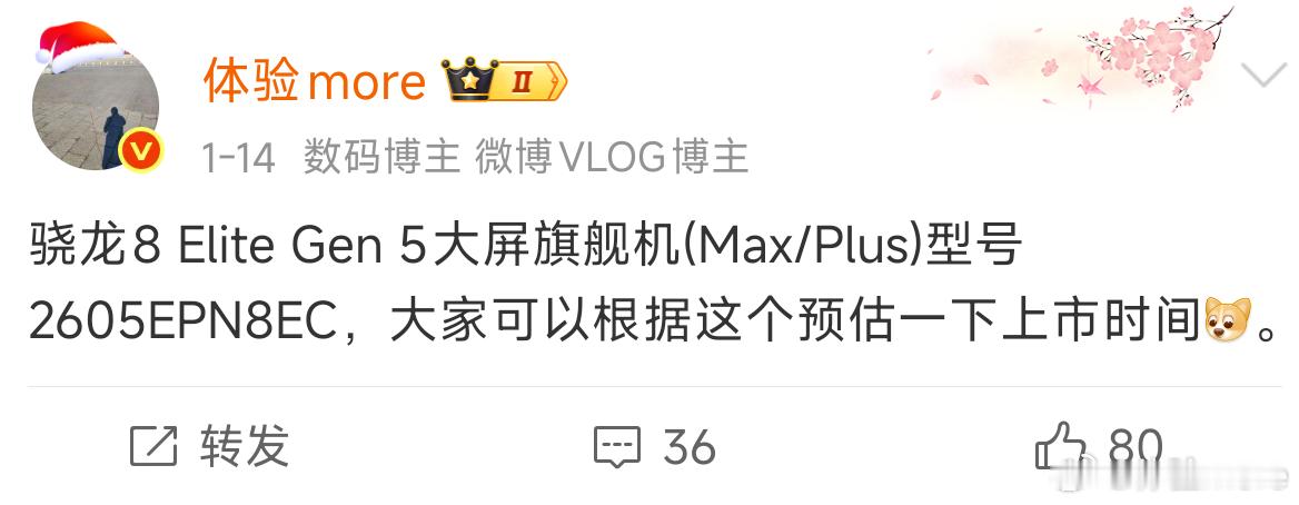 小米大屏旗舰入网，快了，最直接竞品是vivoX300s。