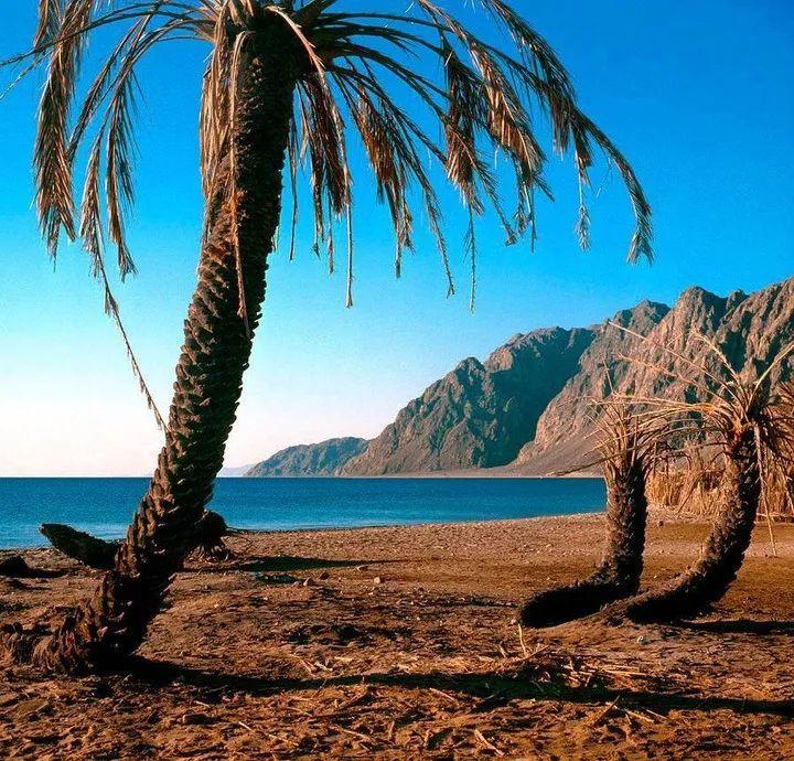 退休后，姐姐让我帮她带孙子，每月给我五千。现在我儿媳快生了，我想回去带自己的孙子