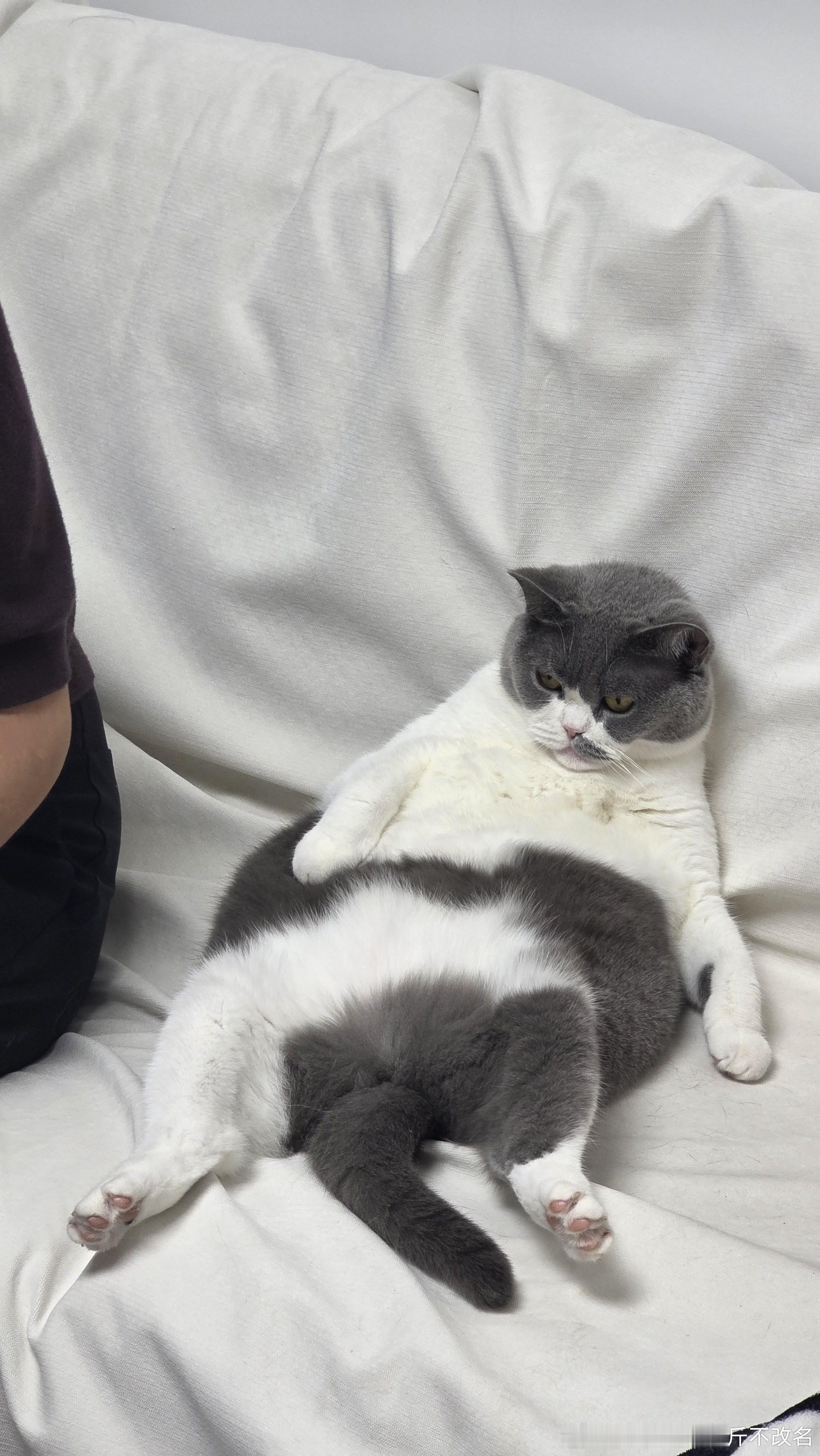不是兄弟，这对吗？​​​