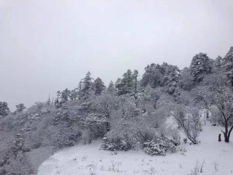 绵阳迎2017第一场雪 冰雪绵阳美美哒!