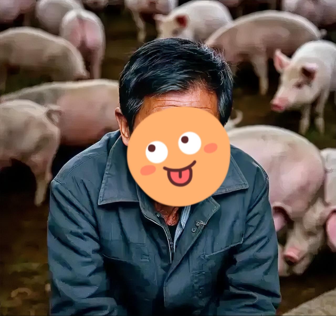 怪不得近来市场上猪肉越来越贱，如今每斤猪肉已经是几元钱一斤！原来欧盟低价猪肉长