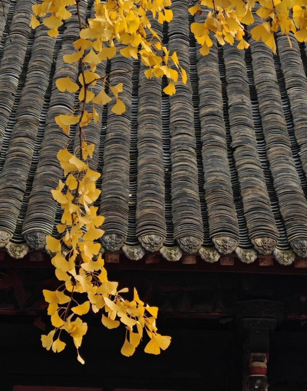 郭子仪交还兵权后，府中宴乐三日不绝。酒过三巡，他屏退众人，拉着长子郭曜的手沉声道