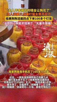 笑不活了！吉林，一女子挑灯笼嫌贵没舍得买，不料边牧凌晨四点误点手机，下单了100