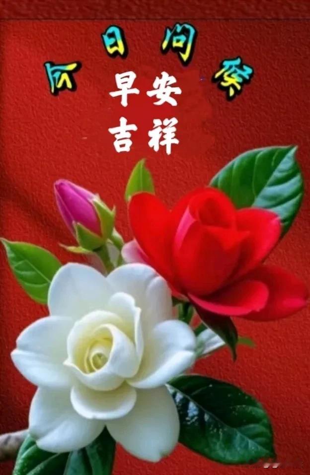 清晨祝福心情好心态乐观很重要开心快乐人不老幸福平安身体好[比心][比心]好