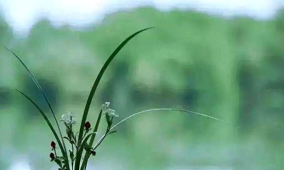 观察一下身边层次高的人，你就会发现他们有个共同的特点，就是明明知道这个人不行，但