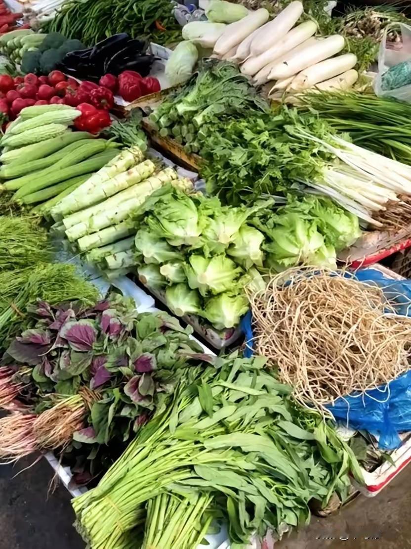 大家有没有发现？今年的菜价是真的太反常了！昨天去菜市场转了圈，我都看愣了，生菜