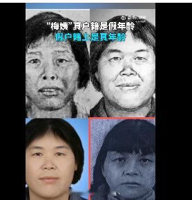 梅姨真户籍是假年龄假户籍是真年龄“到底谁在包庇梅姨”这个说法，本身是把“没抓到