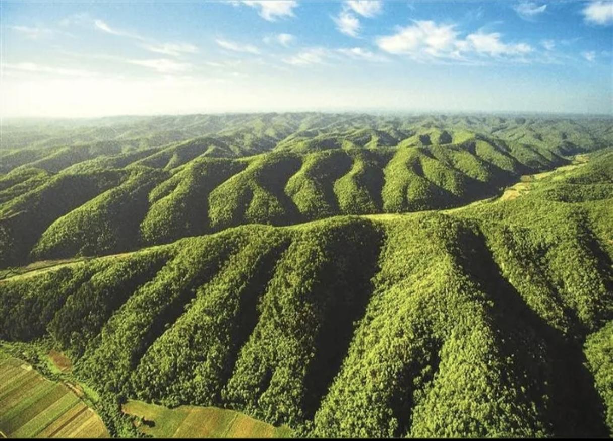 中华民族复兴的标志是什么？有人说是发达的经济，有人说是先进的科技，有人说是现代化