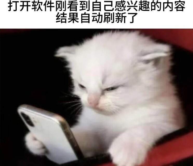 真的会气死！！！​​​