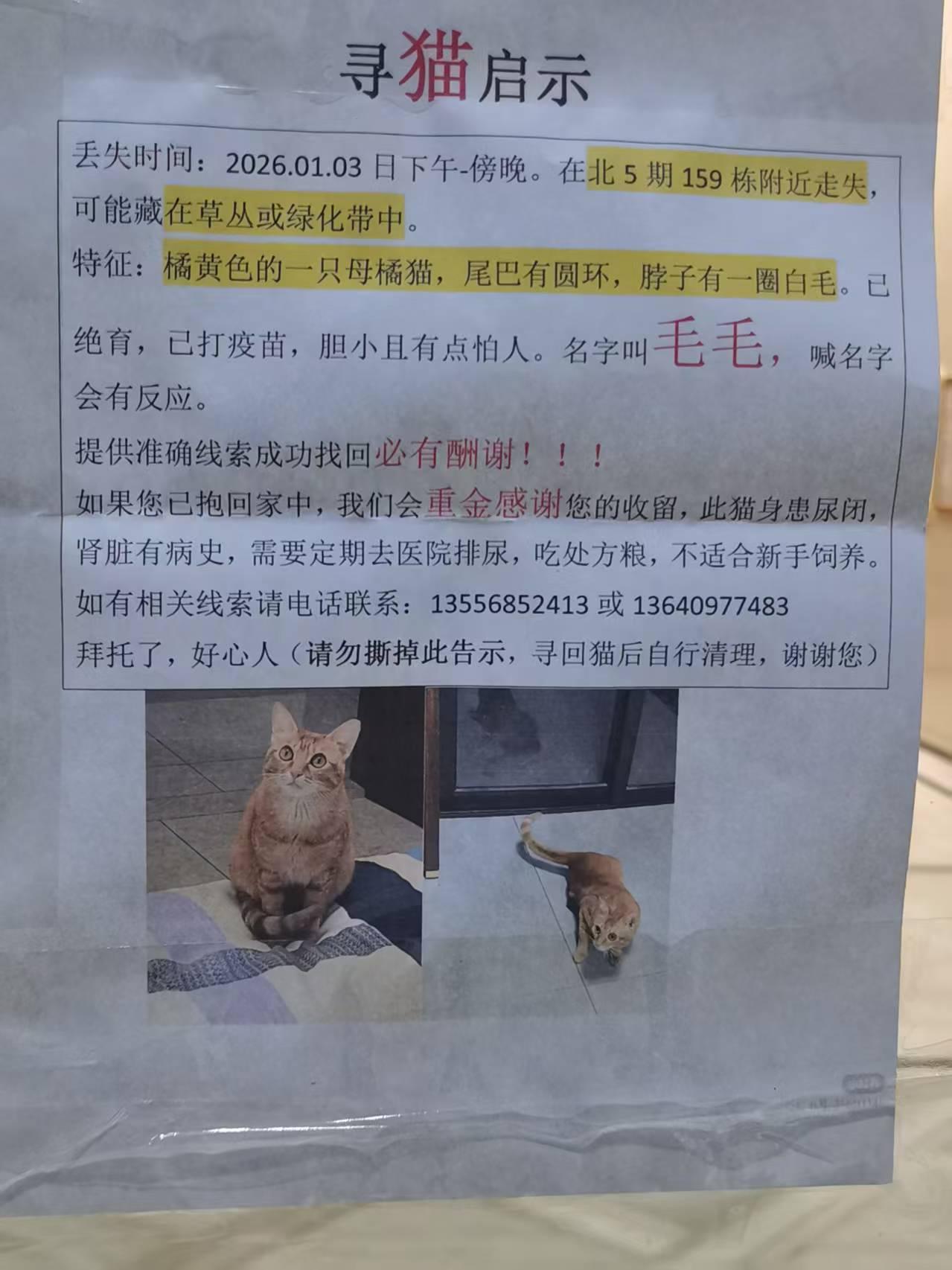 我的妈呀！一只毛毛这么值钱吗？昨晚下班回家，在进门的入口处，发现墙上张