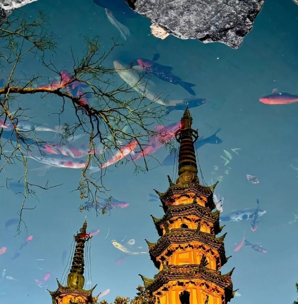 人民日报一段非常通透的话:“不是你摔倒了，就会有人扶你；不是你有困难了，就会