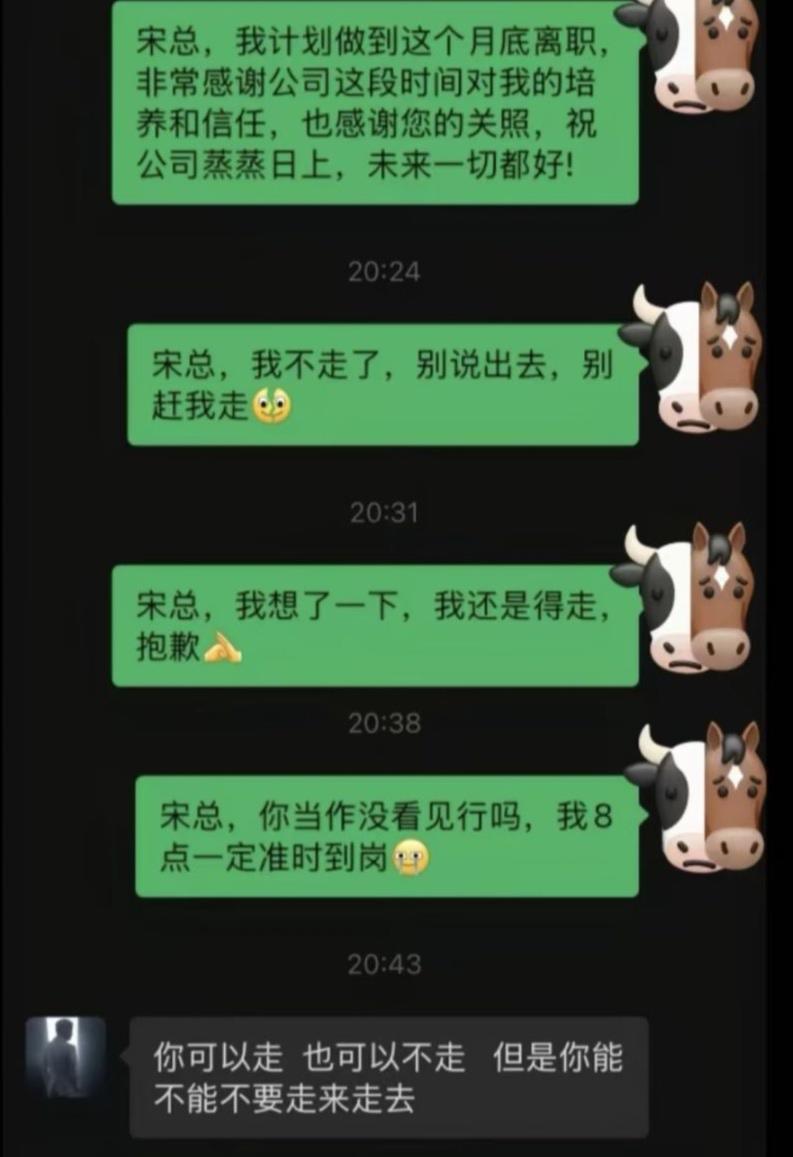 宋总到底是让我走还是不让我走