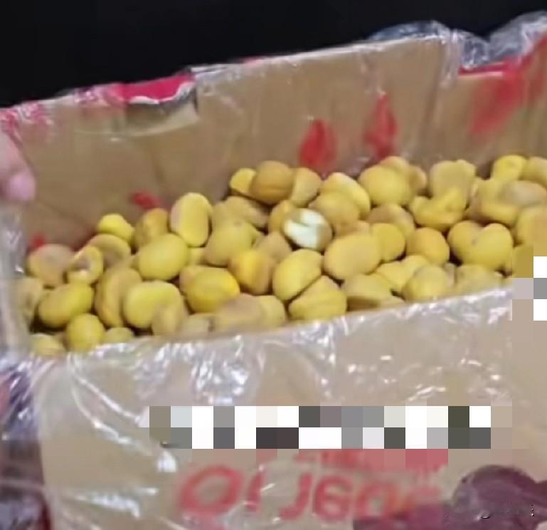 近日,山东一父母手剥生板栗寄给儿子和儿媳,一开箱十多斤的板栗肉直接让儿媳泪奔。儿