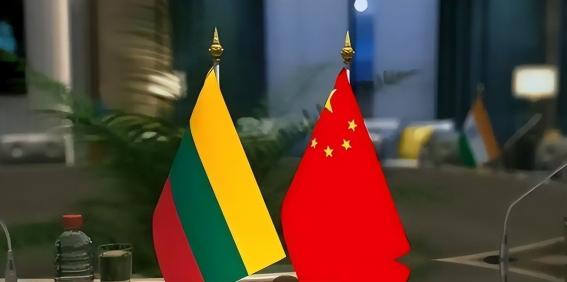 新加坡前国会议员吴俊曾发文指出：“过去四年来，中国断绝和立陶宛的外交和经贸往