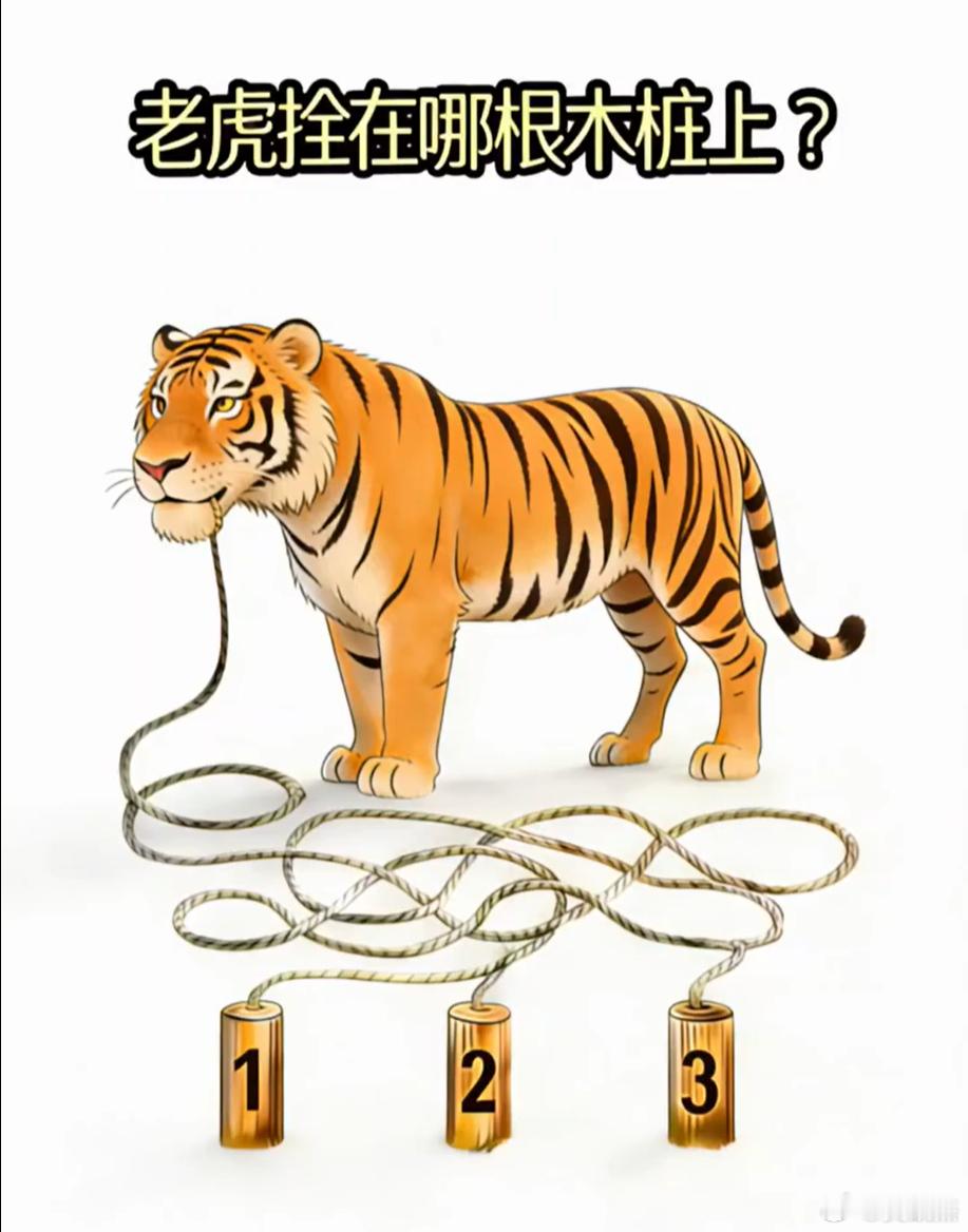 眼力大挑战，请问老虎被拴在哪根木桩上？