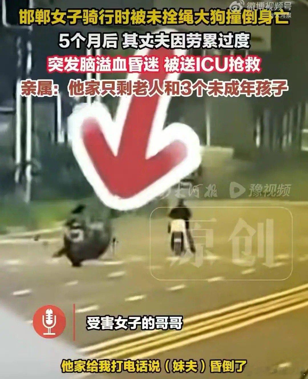 女子被大狗撞倒身亡，丈夫讨公道住进ICU，三个孩子将面临成为孤儿风险,狗主人逃避