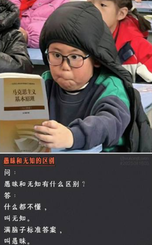 愚味和无知的区别，真是这样吗
