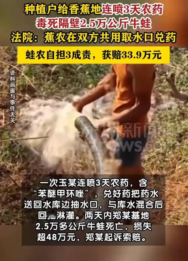 香蕉地喷3天农药毒死隔壁5万斤牛蛙农业生产离得这么近，种植和养殖又共用水源，很