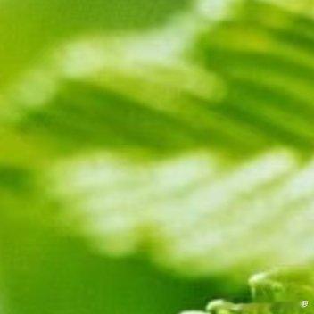 人生的下半场，善待自己，做个简单的人，少与人纠缠，不生气，不取悦，放下别人的错，