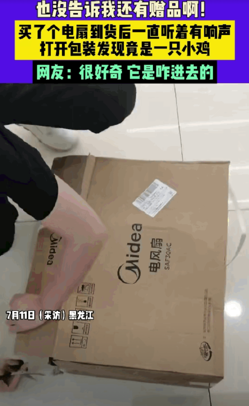 “彻底解释不清了！”黑龙江，一女子网购的电扇快递刚到，就听见箱子里有动静，还有清