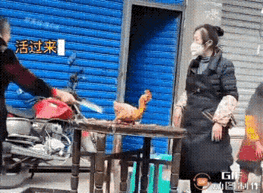 杀完的鸡原地“复活”？杀鸡摊这幕太离奇，摊主吓懵不敢动！抹脖、放血、烫毛、拔
