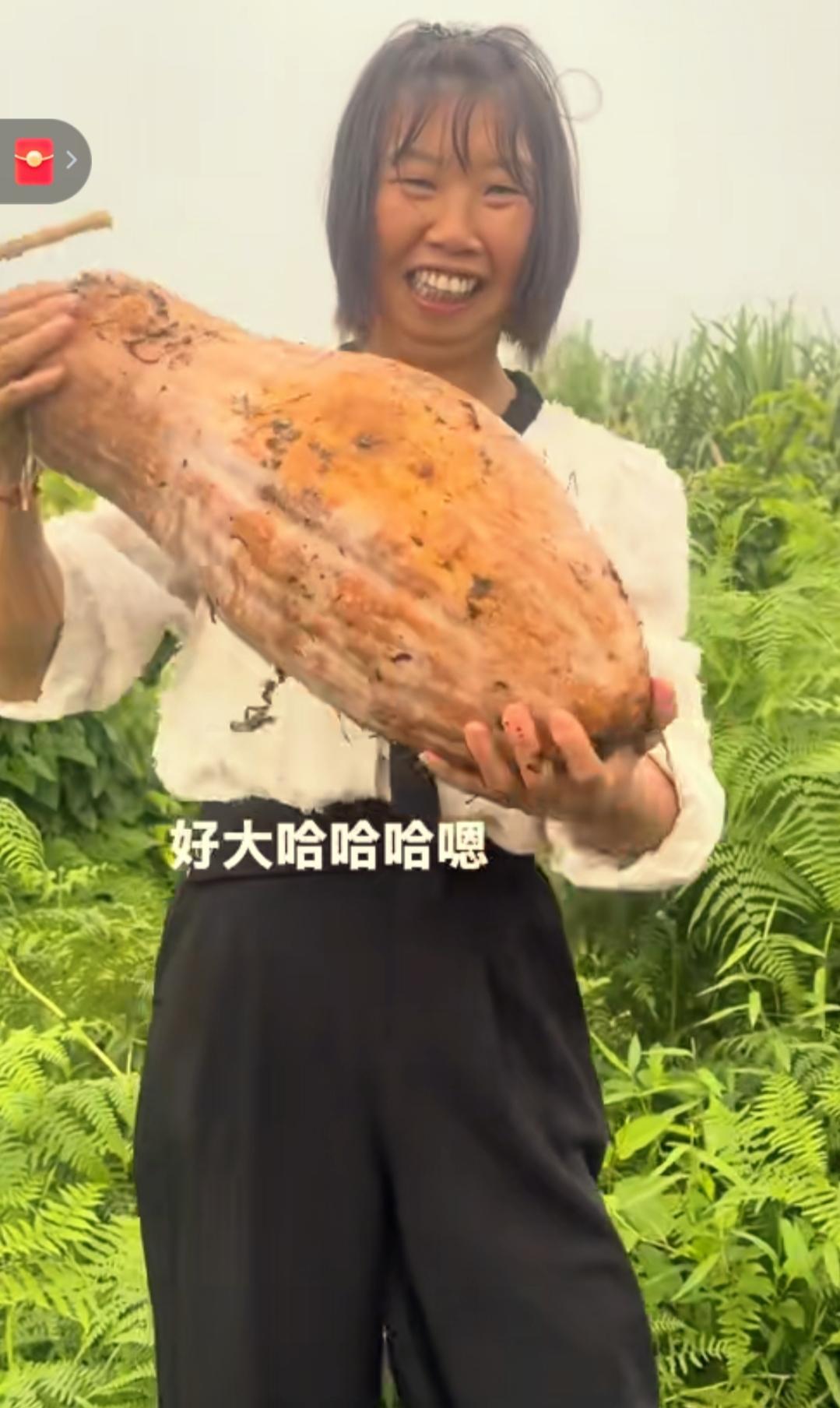 你发现了吗？农村大姐虽然颜值比不上那些大美女但她在田里干活，真的跟一般人不一样