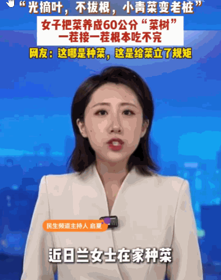 长知识了！一女子平时喜欢在家种菜，但她有个“懒人独门秘籍”：蔬菜成熟后绝不连根拔