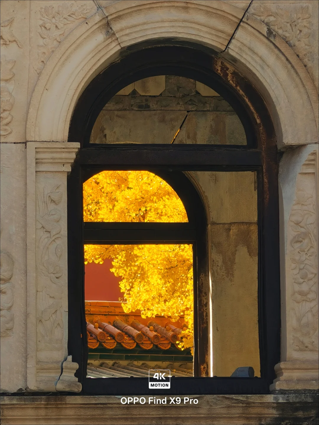 4K live｜这个秋天拍到的 10 个绝美瞬间