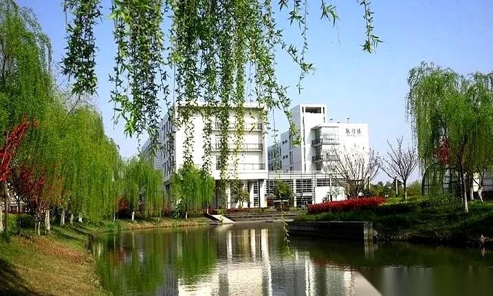 西南财大，直接把一整个行业的桌子给掀了。6月11号，一纸公告下来，轻描淡写几行