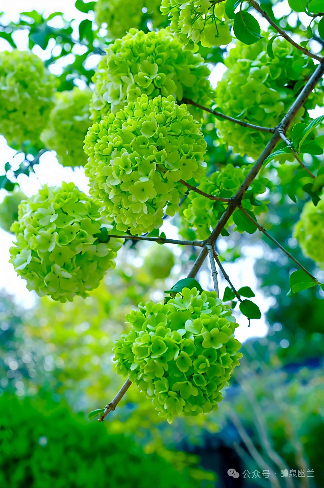 天蝎座在他不说话的时候才最可怕平时的天蝎温柔又体贴他们总想照顾好身边每个人的