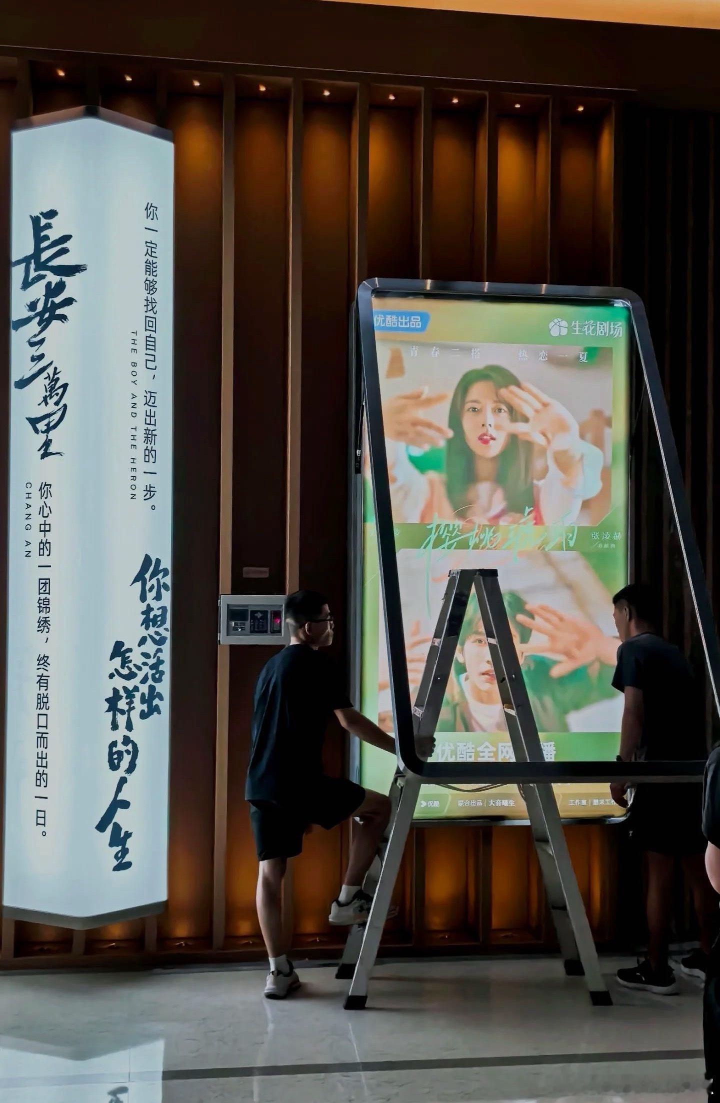 樱桃琥珀定档在即！北京🐱总部海报已换​​​